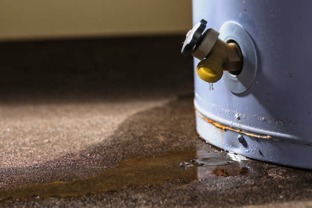 Best Local water damage restoration  in Lwa, CA