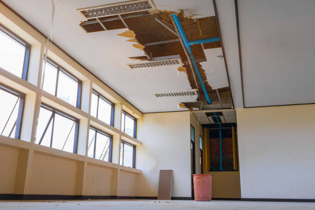 Best Commercial water damage restoration  in Lwa, CA
