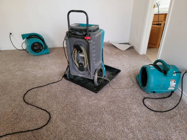 Best Flood damage cleanup  in Lwa, CA