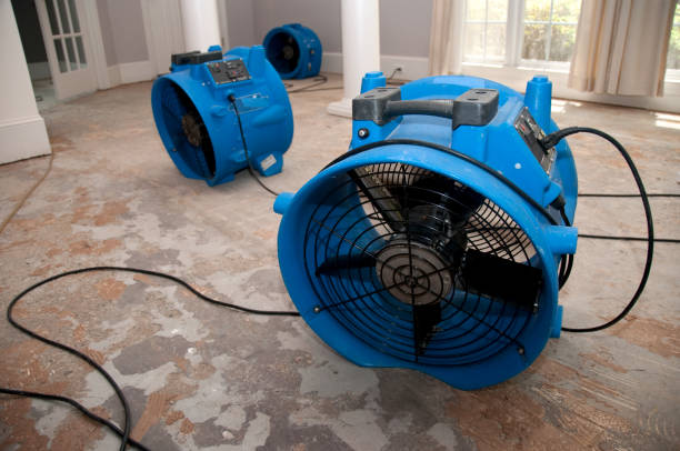 Best Water damage restoration process  in Lwa, CA