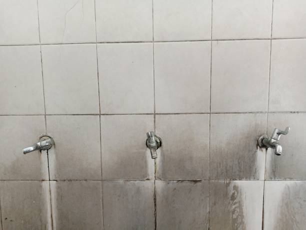 Best Flooded house restoration  in Lwa, CA