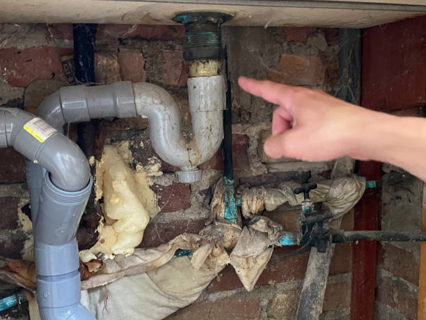 Best 24-hour water damage restoration  in Lwa, CA