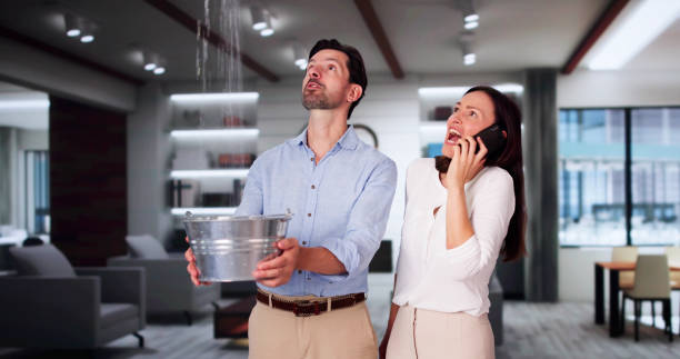 Best Water damage restoration specialists  in Lwa, CA