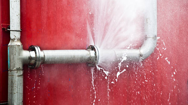 Best Carpet water damage restoration  in Lwa, CA